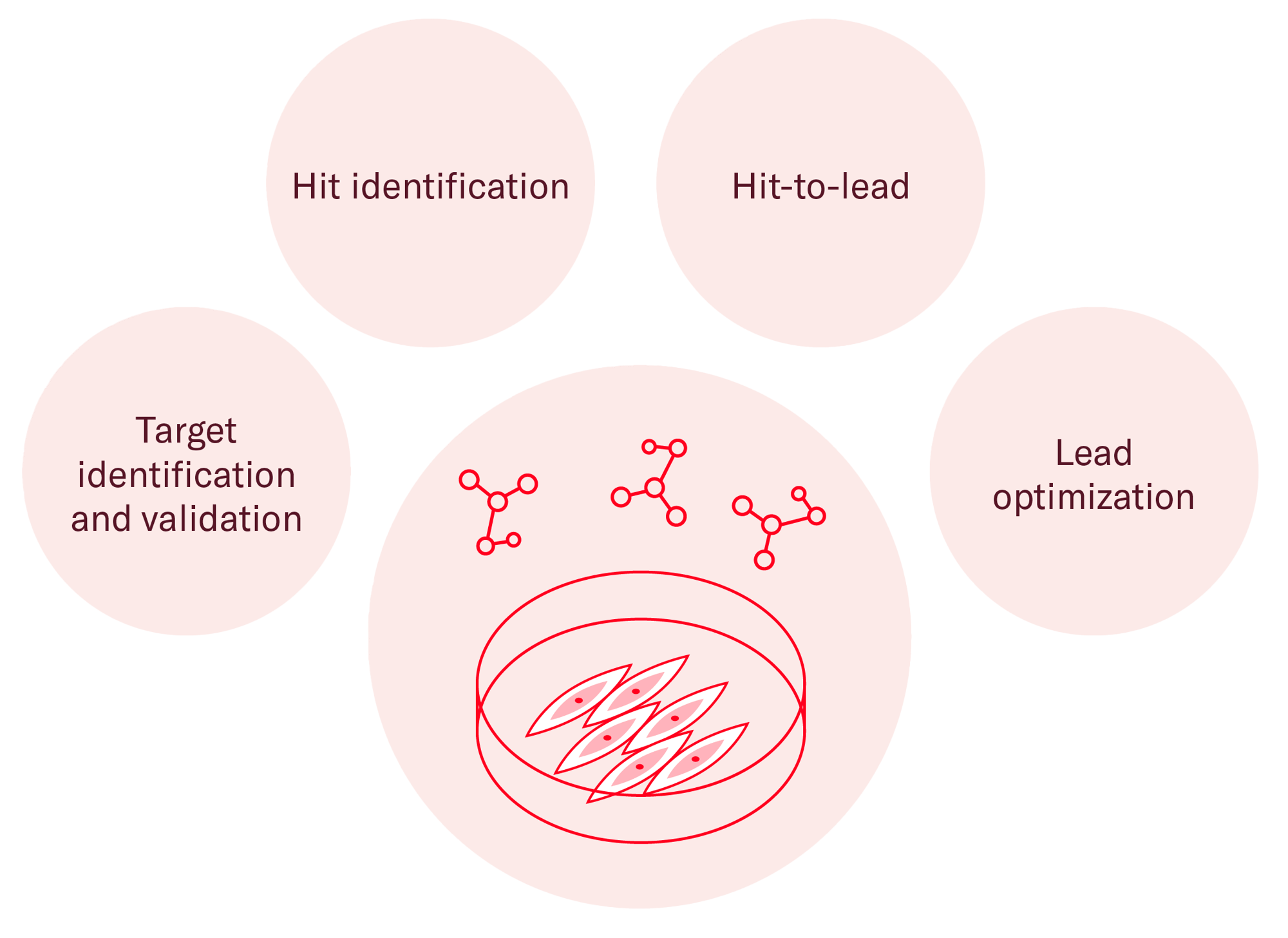 Services for Drug discovery with Small Molecules