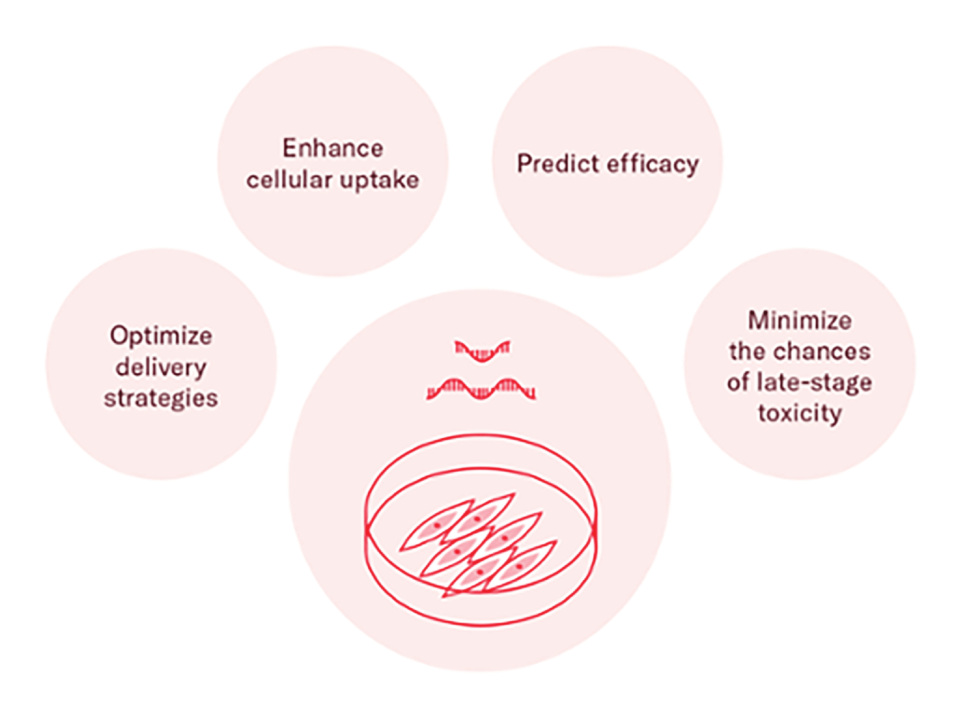 Antisense blog graphic v2@3x-1