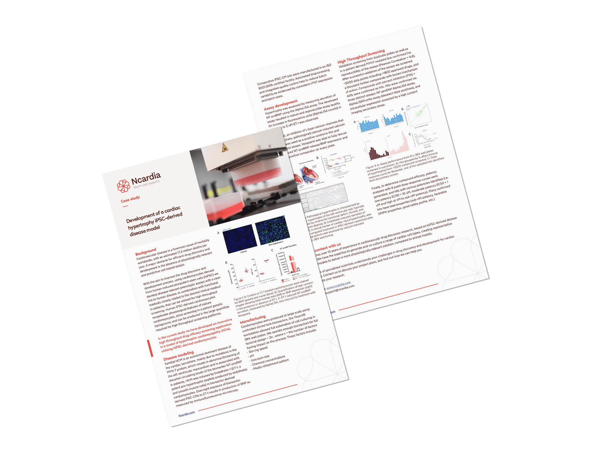 Case study- Development of a cardiac hypertrophy iPSC-derived disease model