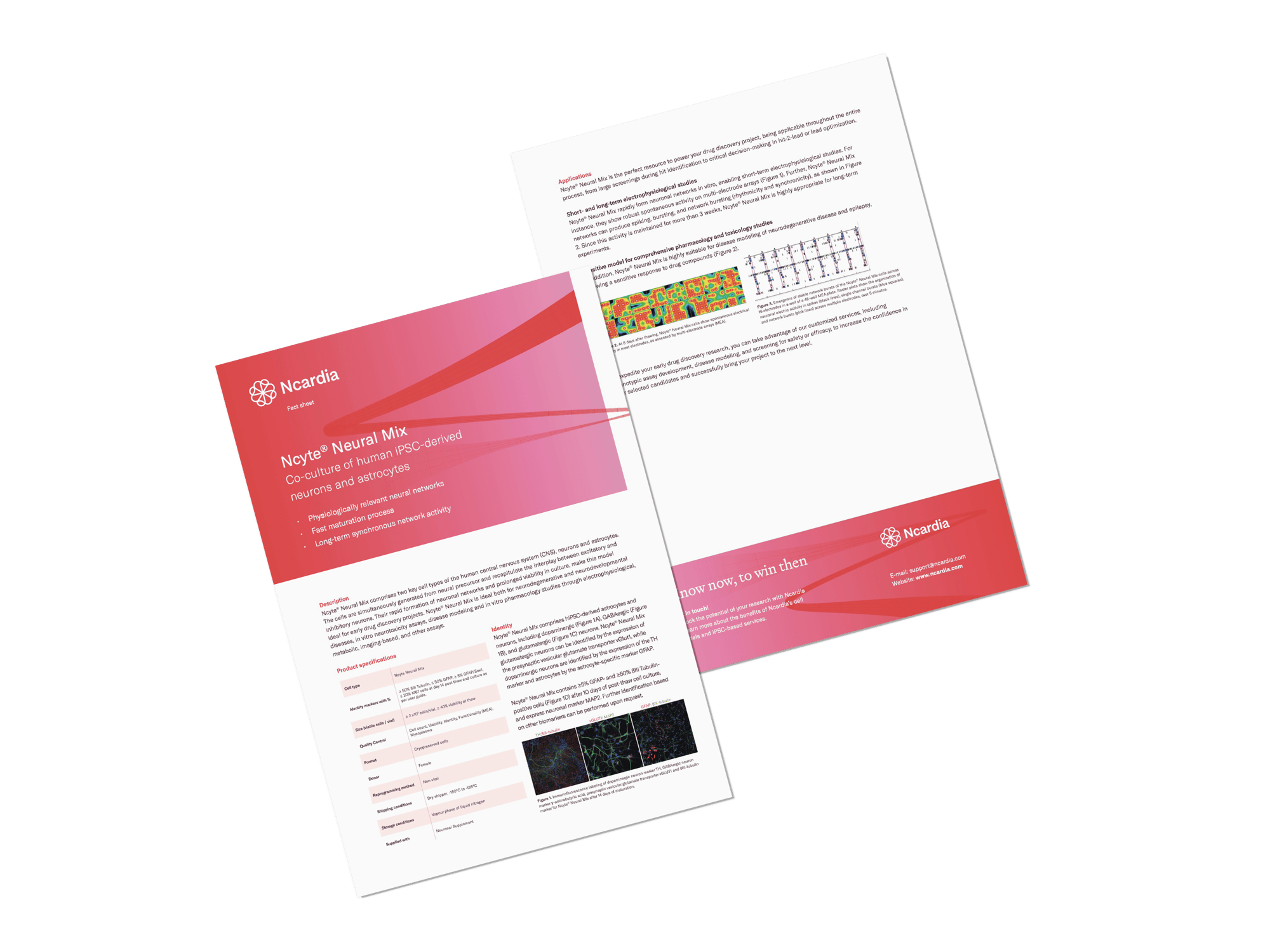 Fact Sheet- Ncyte® Neural Mix