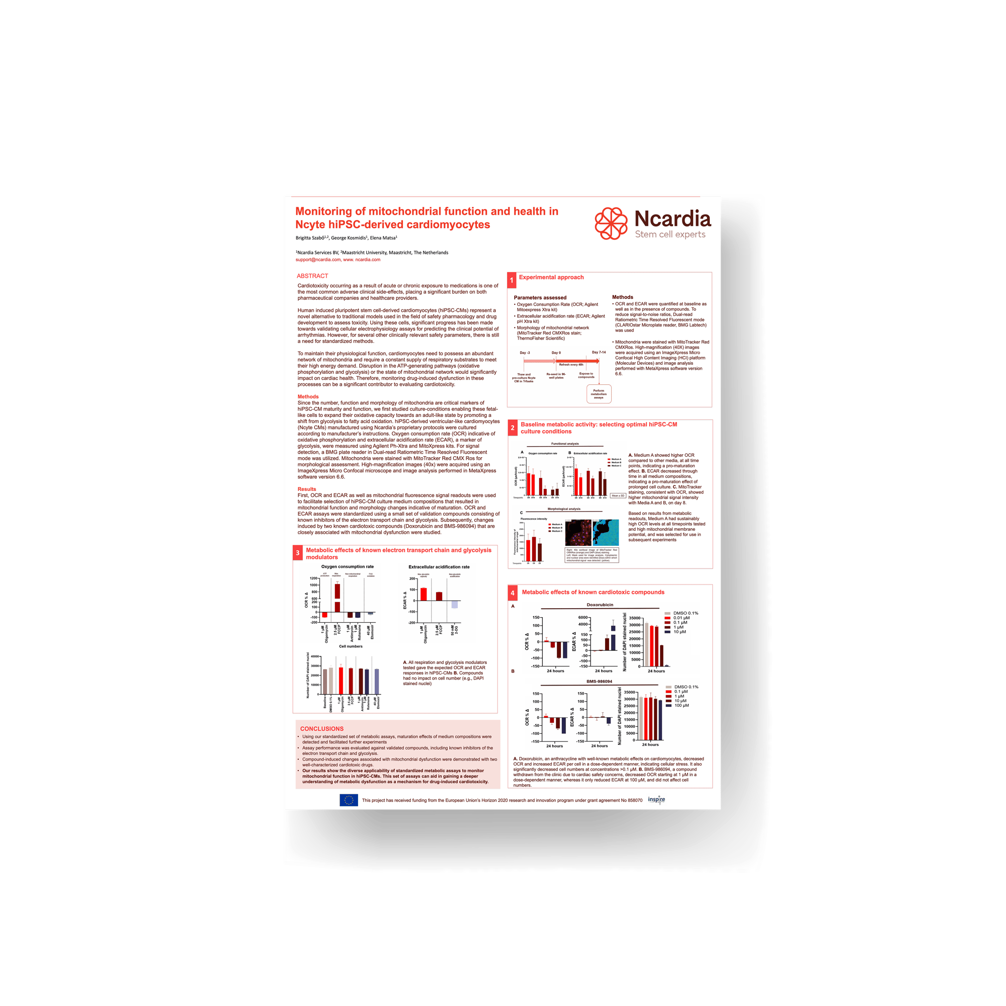 Poster presentation- Monitoring of mitochondrial function and health in iPSC-derived cardiomyocytes