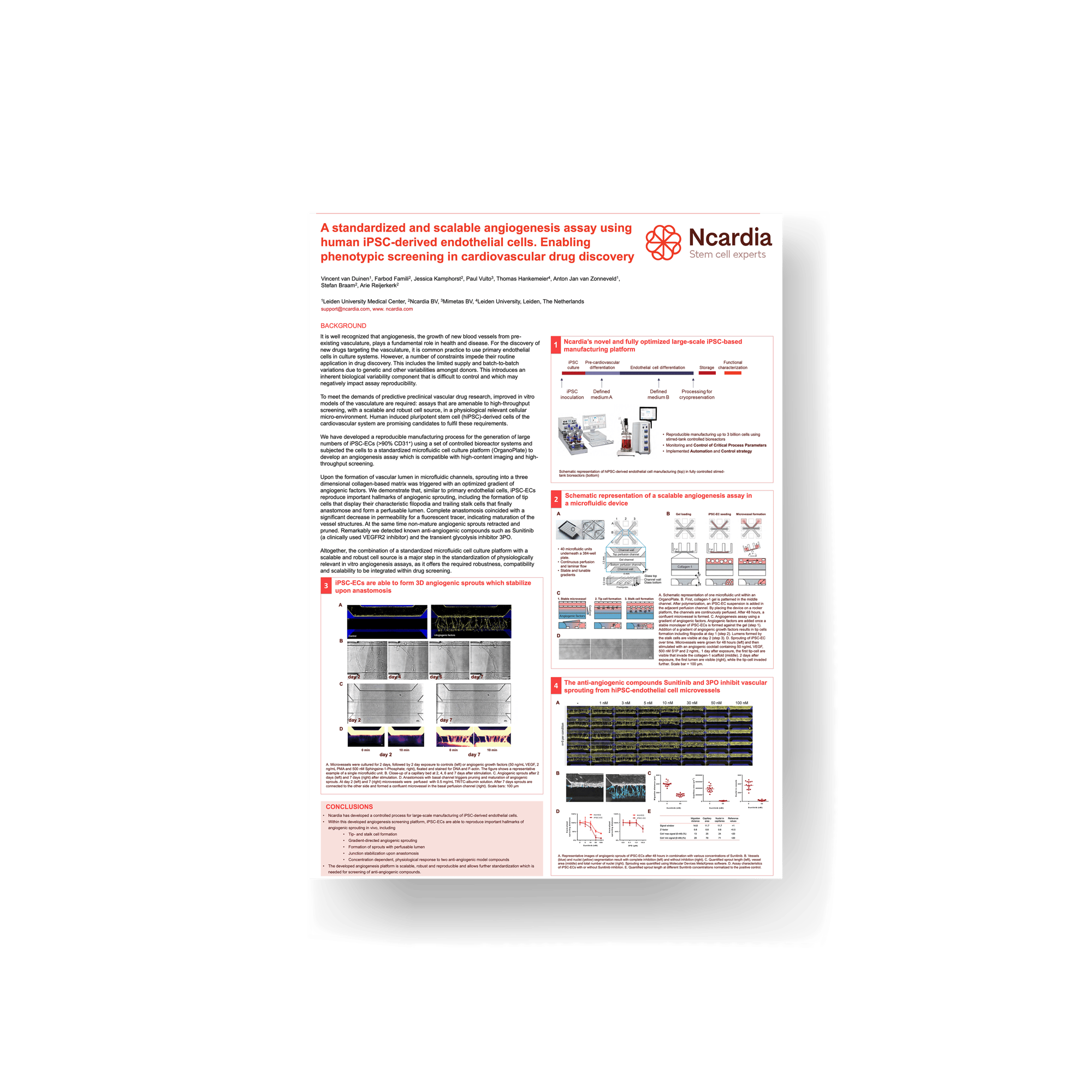 Scientific poster- A standardized and scalable angiogenesis assay using human iPSC-derived endothelial cells