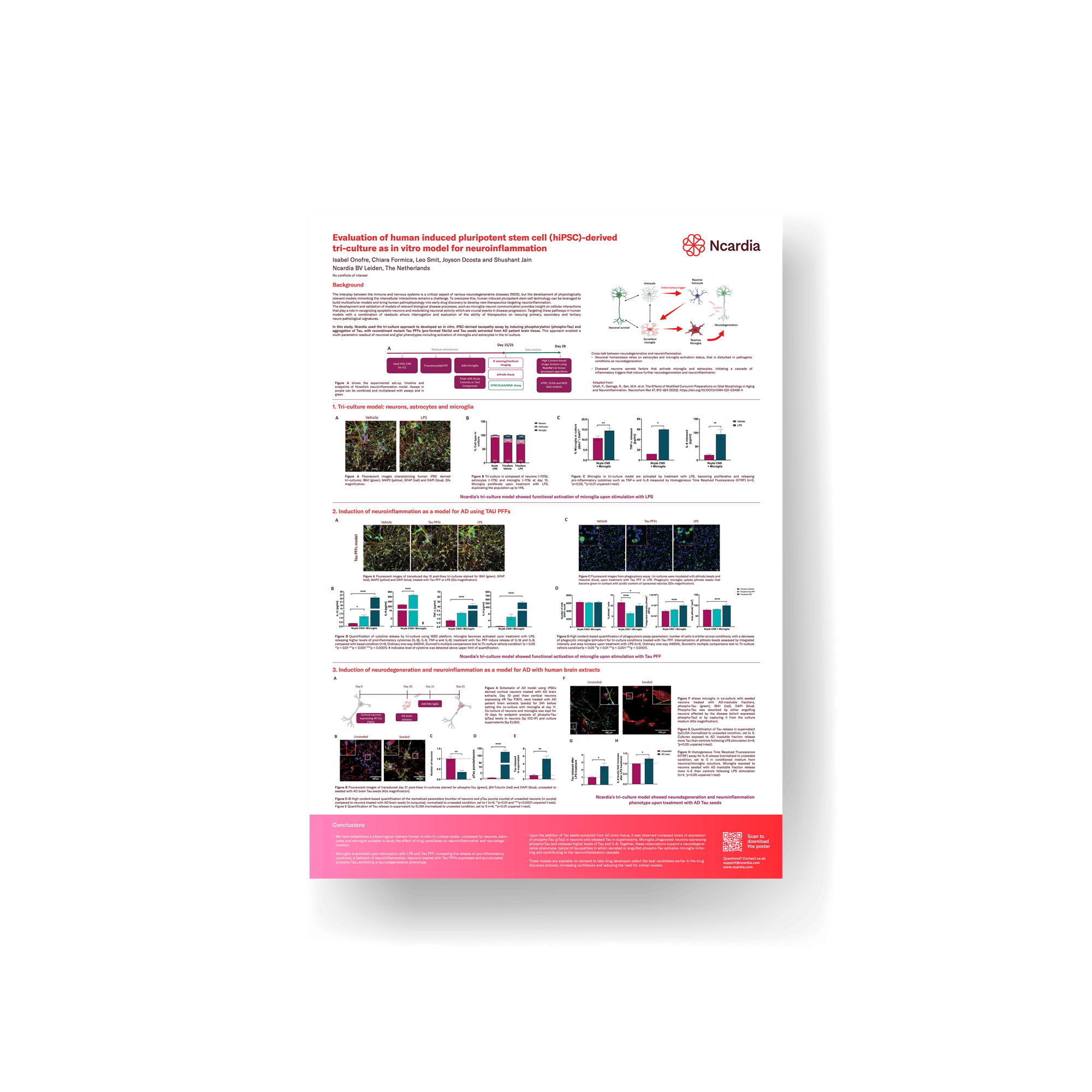 Scientific poster- Evaluation of human iPSC derived triculture as in vitro model for neuroinflammation