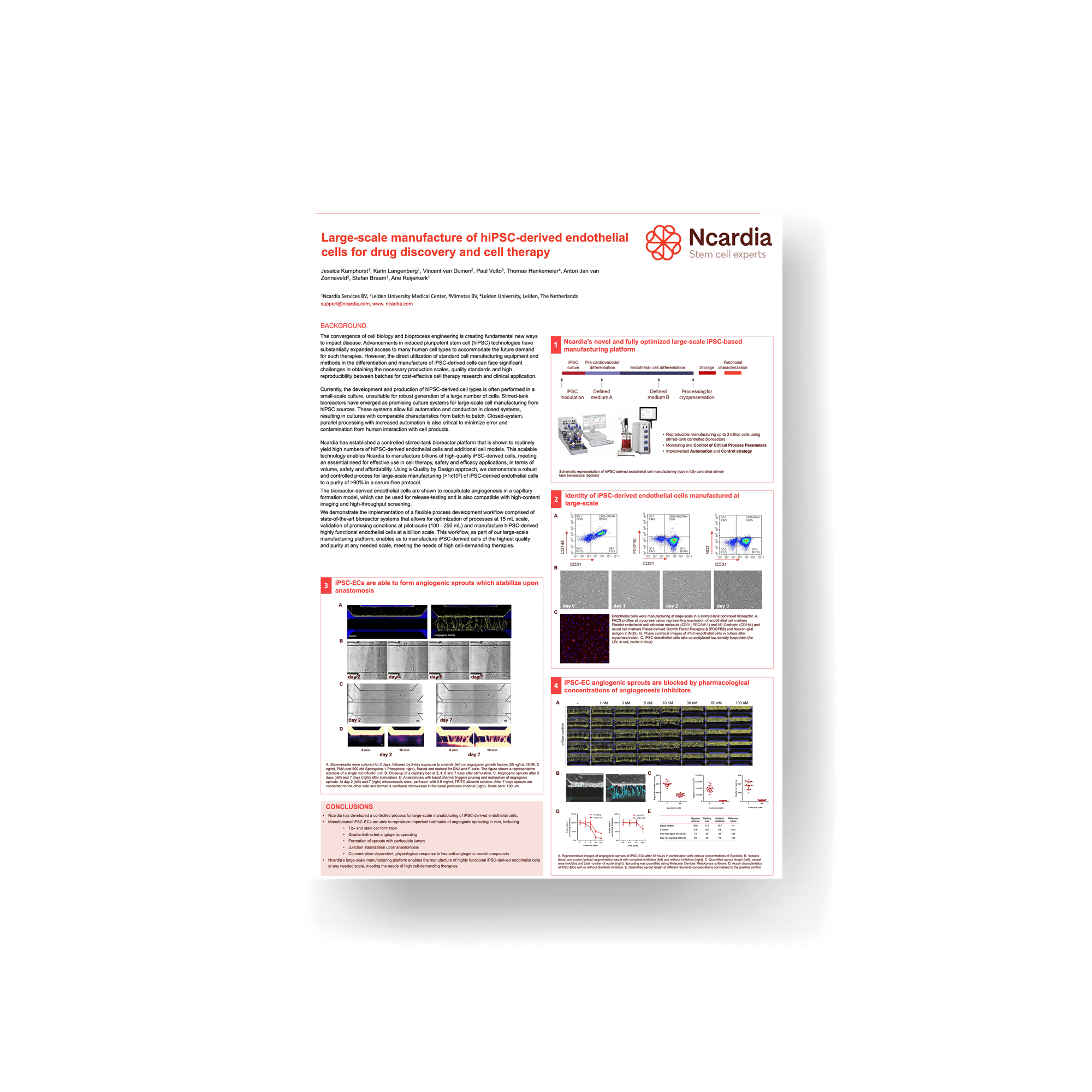 Scientific poster- Large-scale manufacture of hiPSC-derived endothelial cells