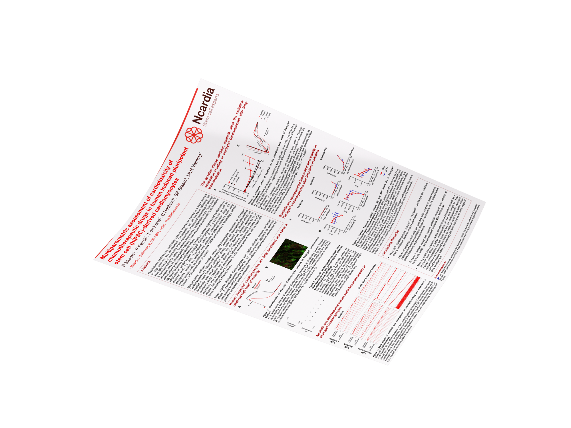 Scientific poster- Multiparametric assessment of Cardiotoxicity in iPSC-Derived Cardiomyocytes