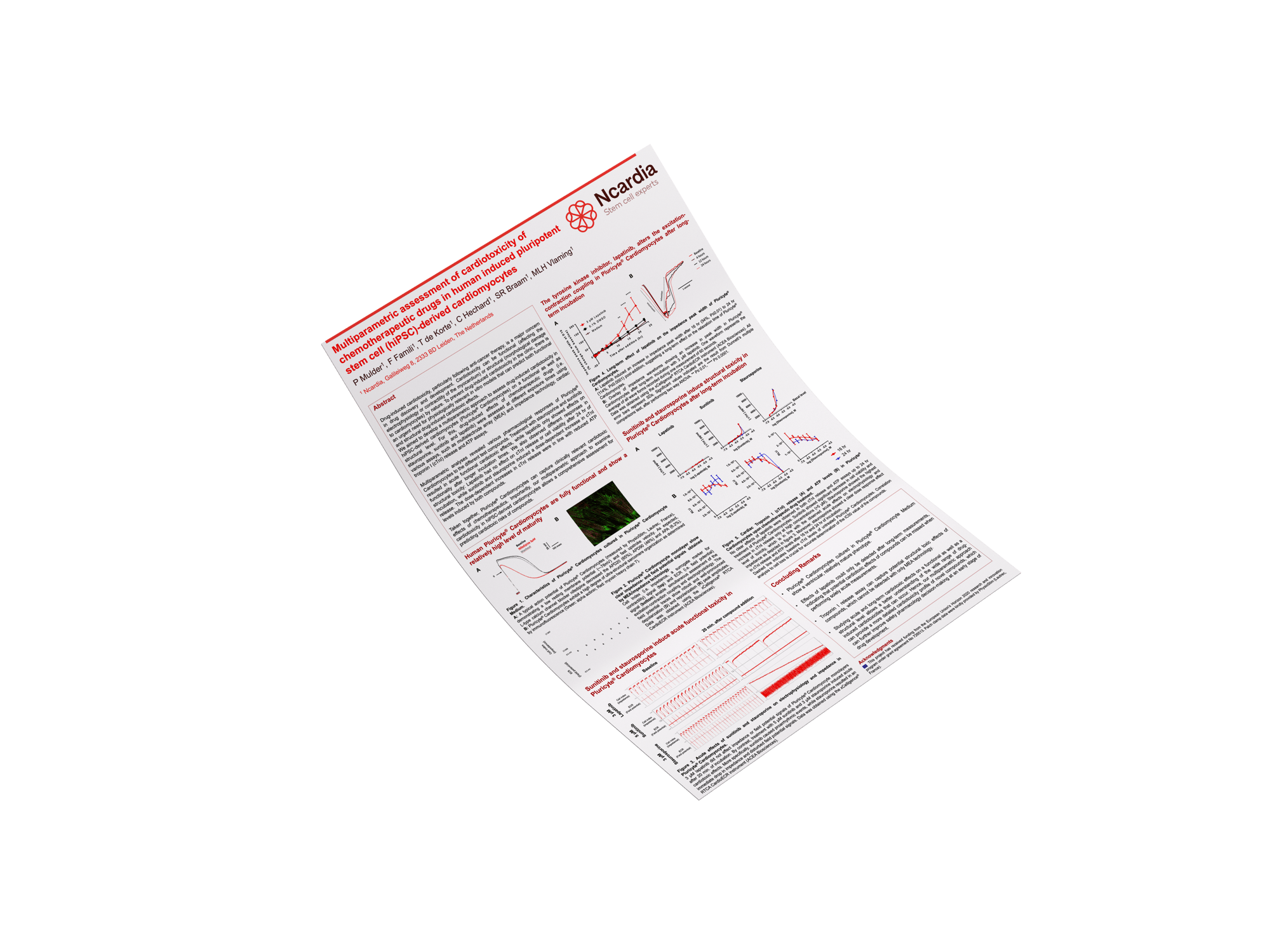 Scientific poster- Multiparametric assessment of cardiotoxicity of chemotherapeutic drugs in iPSC-derived cardiomyocytes