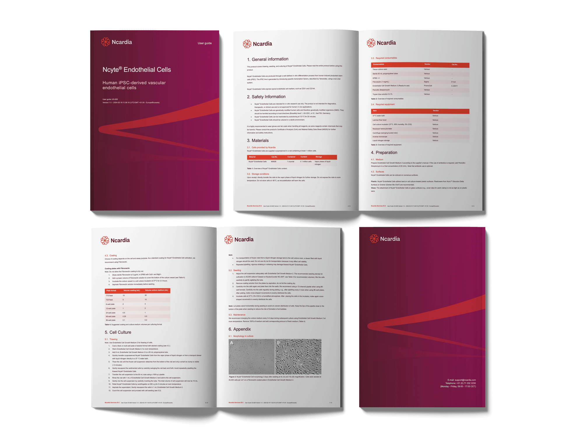 User guide- Ncyte® Endothelial Cells