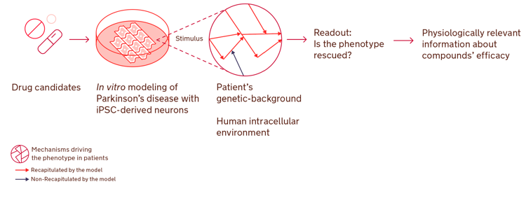 Patient’s derived iPSC neurons as a model of Parkinson’s disease for the efficacy evaluation of new therapeutic candidates