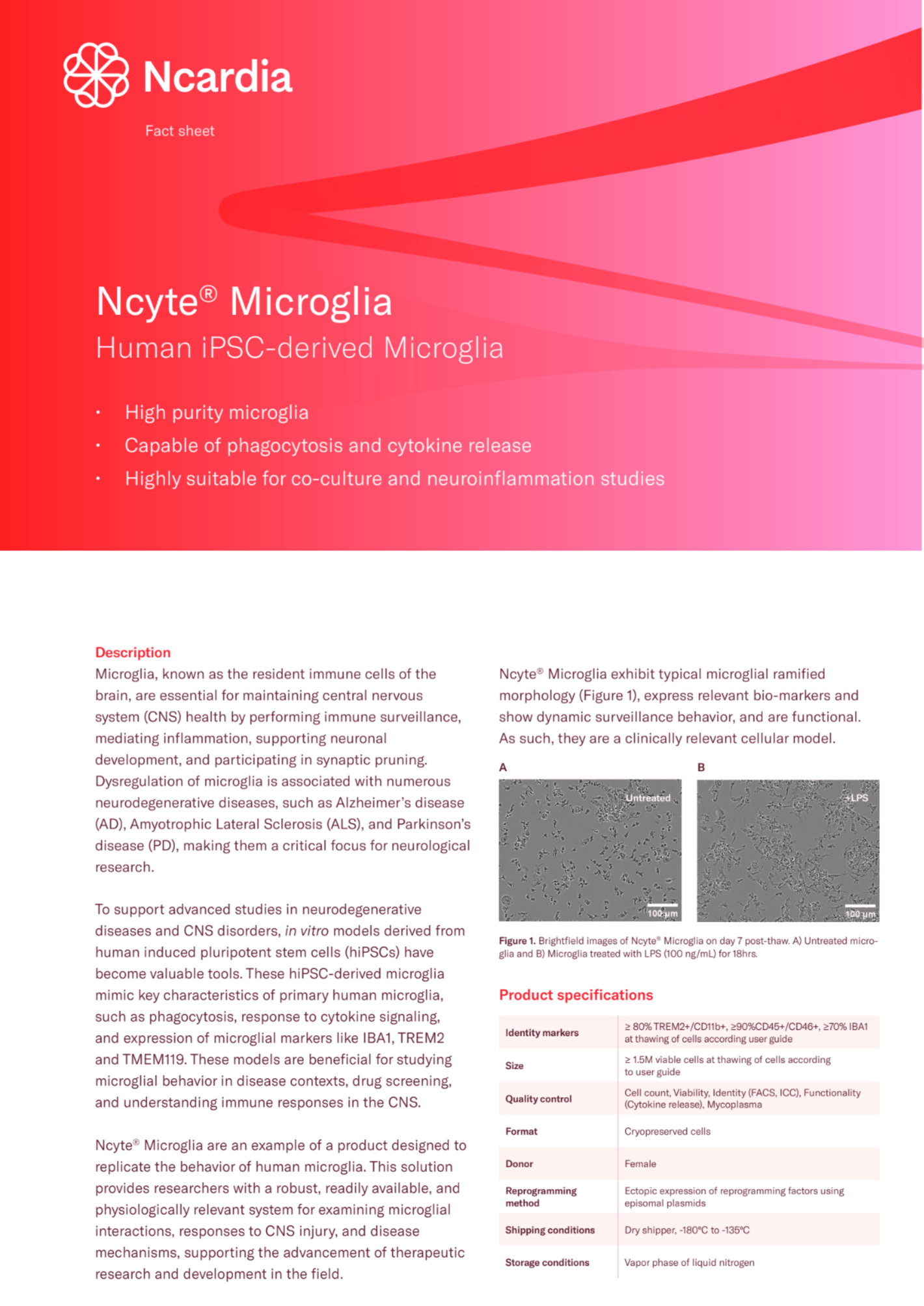 Microglia Fact Sheet