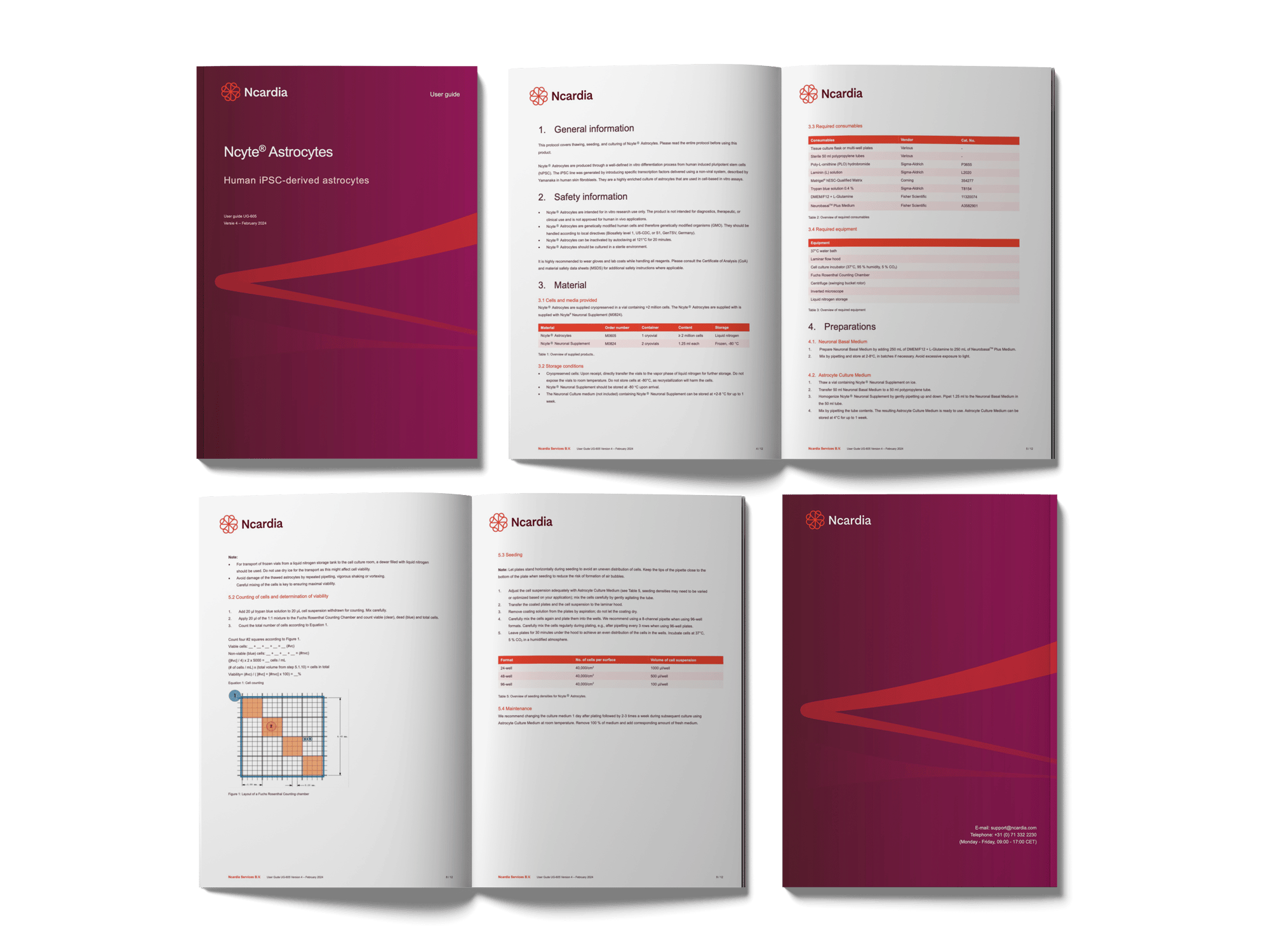 User guide- Ncyte® Astrocytes