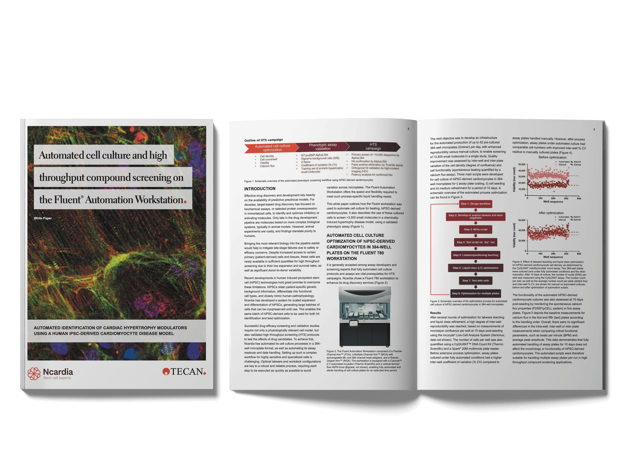 Whitepaper- Automated cell culture and high throughput screening of iPSC-derived cardiomyocytes