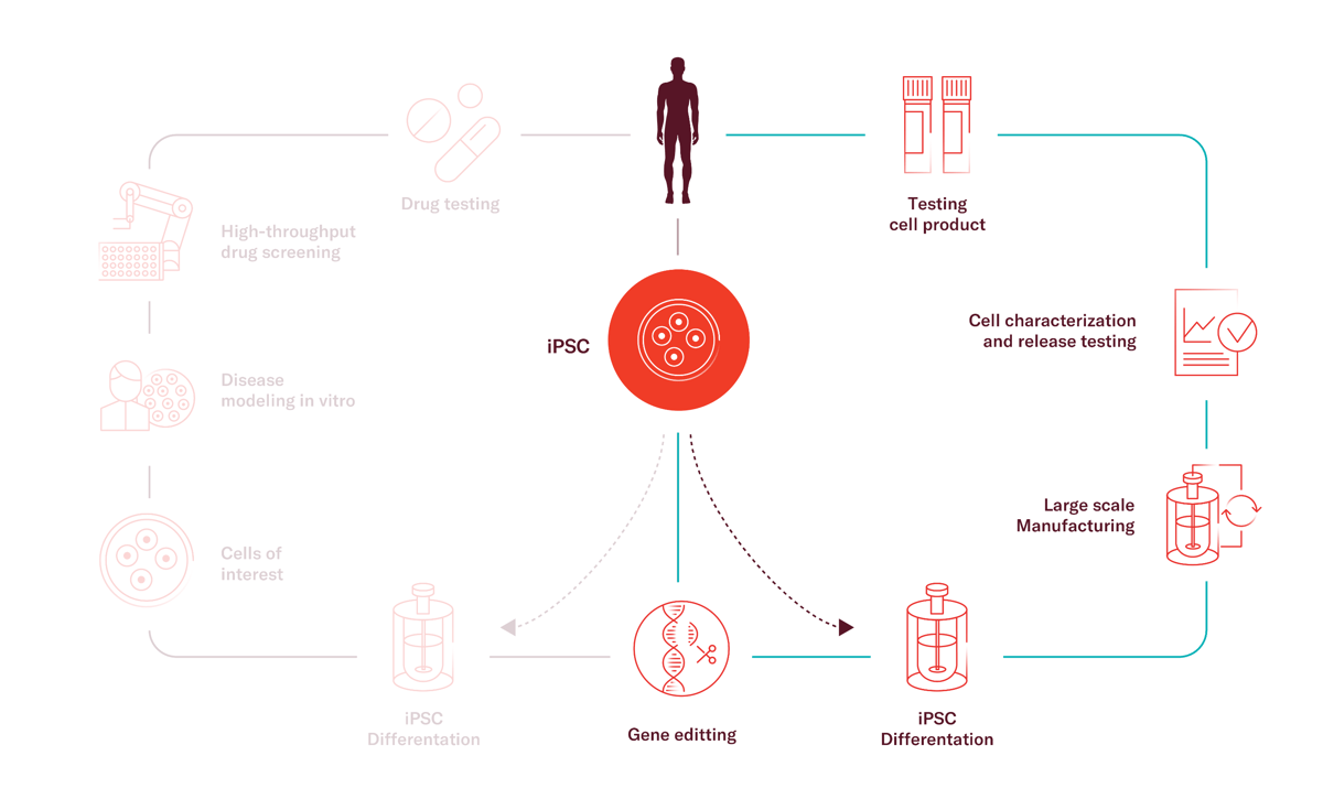 regenerative-medicine-crop